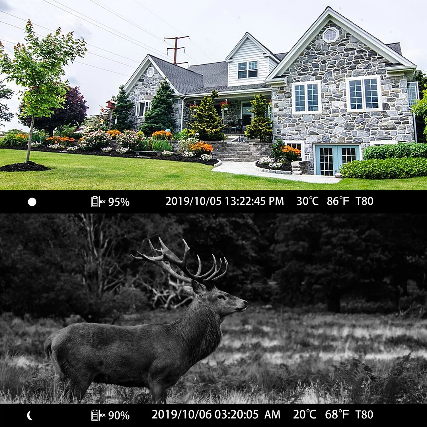 TOGUARD Trail Camera with SizeD Card WiFi Bluetooth 20MP 1296P Game Camera with 3PIR Night Vision Waterproof IP66 Motion Detection 120° Wide Angle Trail Cam for Hunting Wildlife Monitoring