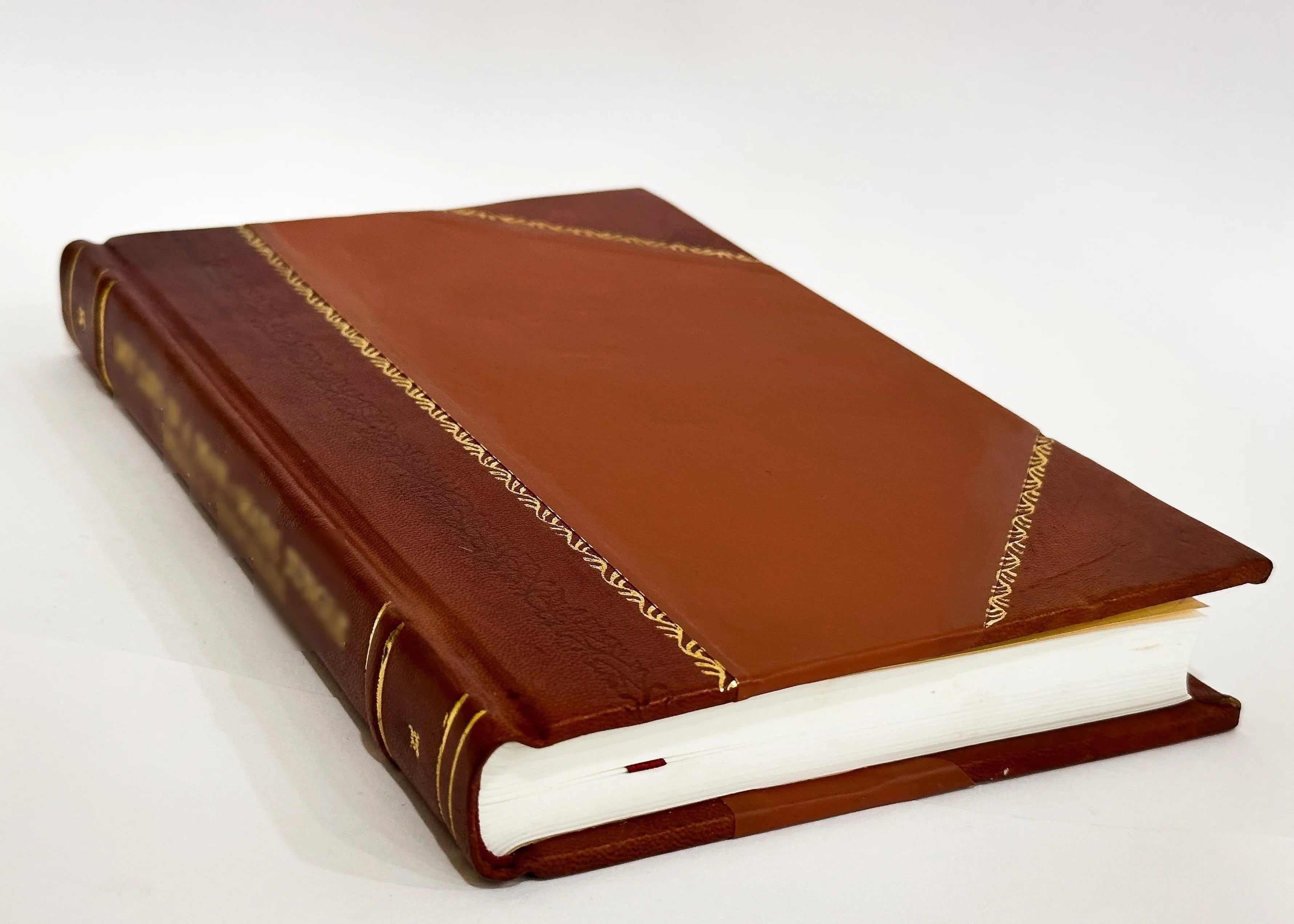 Appendix J. to Sizeecond Report of Committee Upon the Fever Hospital and Municipal Improvements : Containing Correspondence Respecting the Draining of the Sizealt Water Lake and the (1848) [Leather Bound]