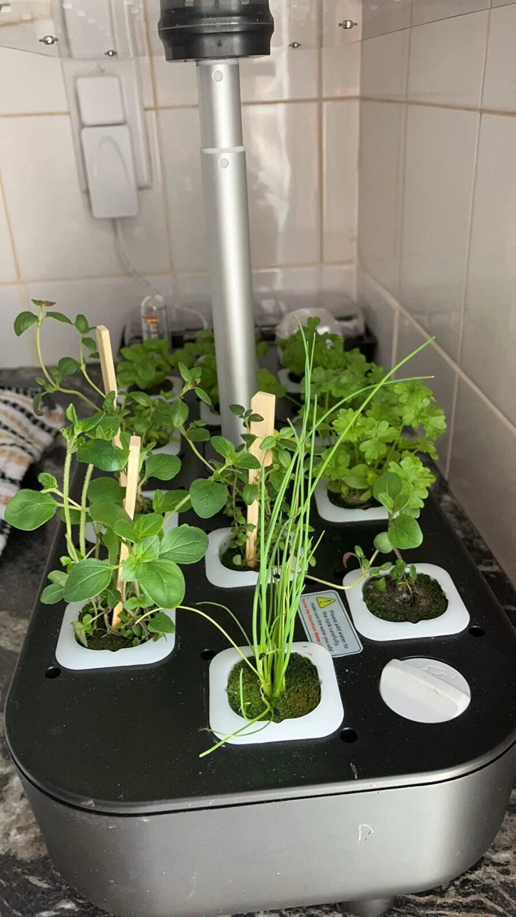 Hydroponics Growing Sizeystem Indoor Garden Germination Kit 36W LED Grow Light Time