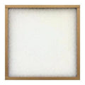 AAF Flanders 20 in. W x 30 in. H x 1 in. D Fiberglass 4 MERV Air Filter (Pack of 12)