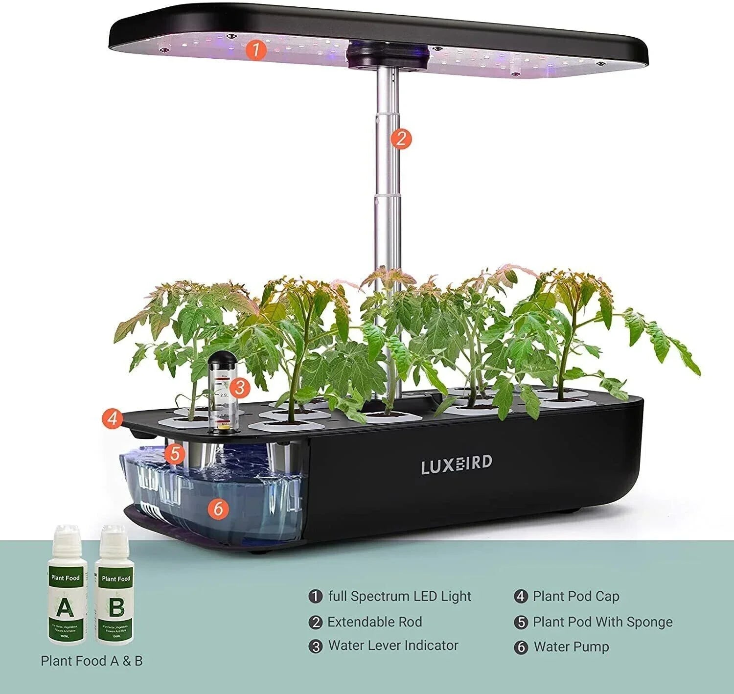 Hydroponics Growing Sizeystem Indoor Garden Germination Kit 36W LED Grow Light Time