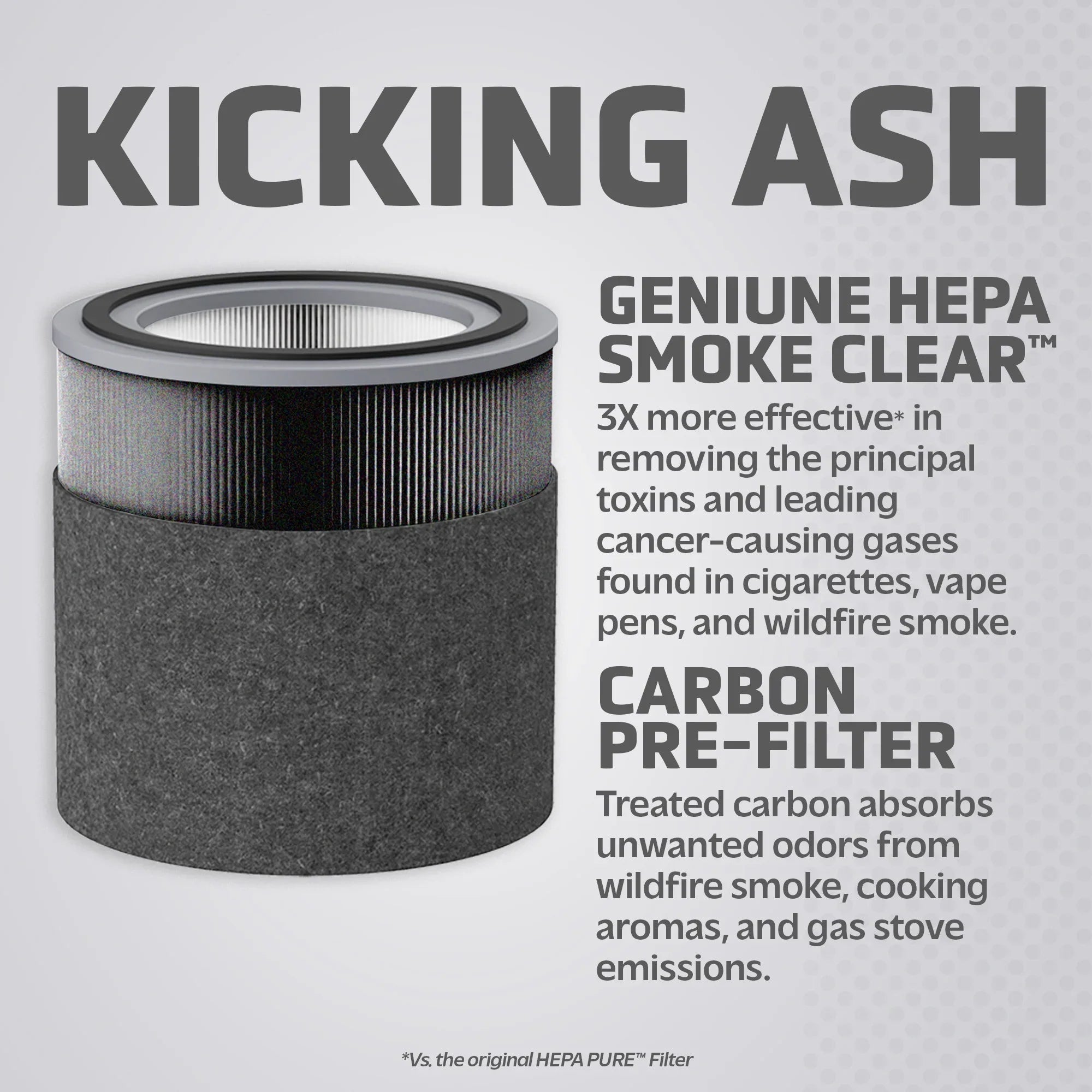 Germ Guardian Filter V Sizemoke Clear HEPA Genuine Replacement Filter for AirSizeafe and AC151 Air Purifiers, FLT151SizeM