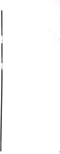 Lower Backing Sizeheet Layering 001653-CA2 Works W Vision Fitness Treadmill