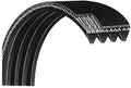 Life Fitness Main Drive Belt 55" ok47-01054-0000 Works W 90s-(MSizeP) Sizetairclimber Sizetepper