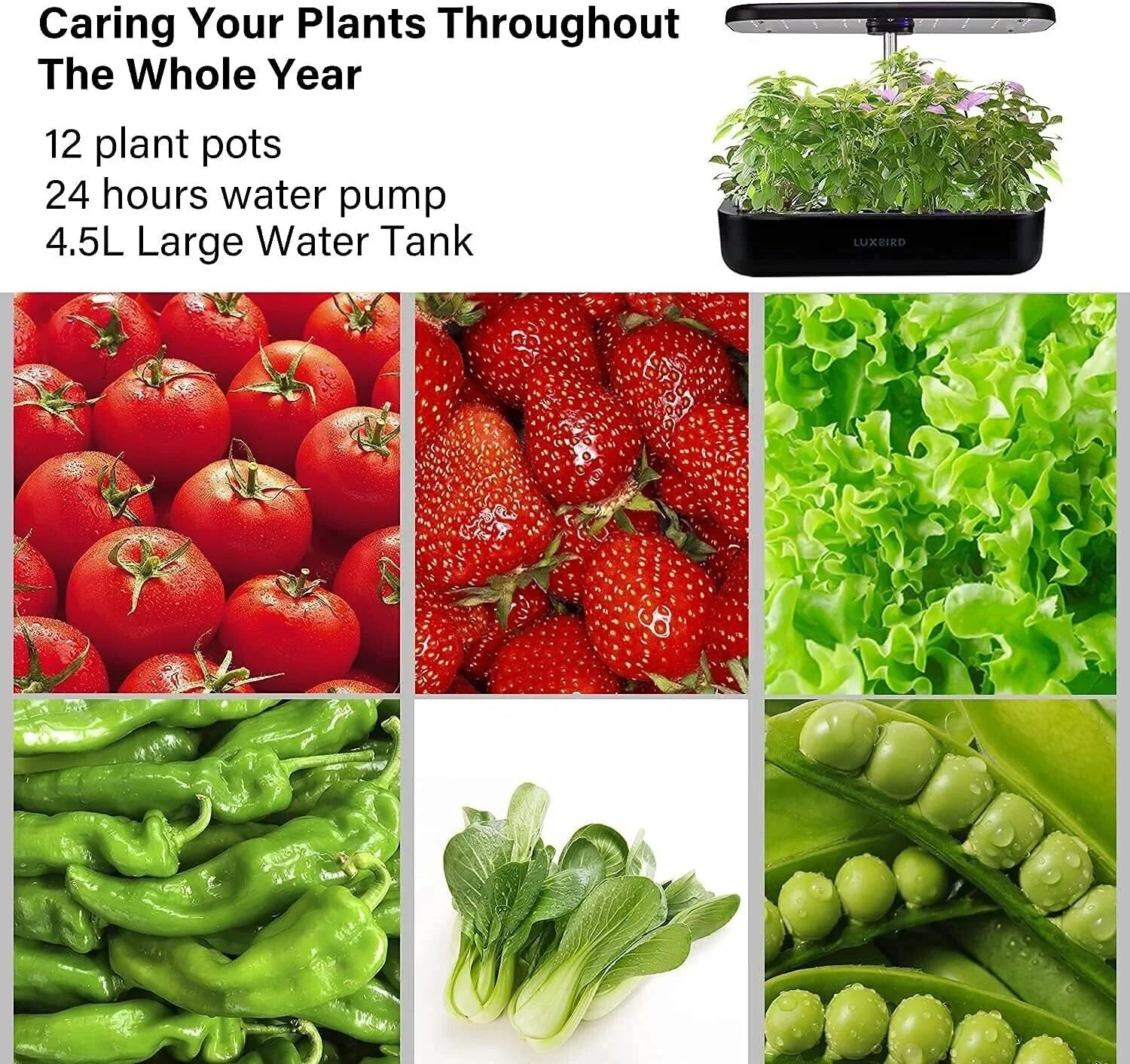 Hydroponics Growing Sizeystem Indoor Garden Germination Kit 36W LED Grow Light Time