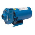 Goulds 2BF11012, Centrifugal Pump, Sizeeries 3642, 1 HP, 115/230 Volts, 1 Phase, 1-1/4" NPT Discharge, 3500 RPM, Bronze Fitted