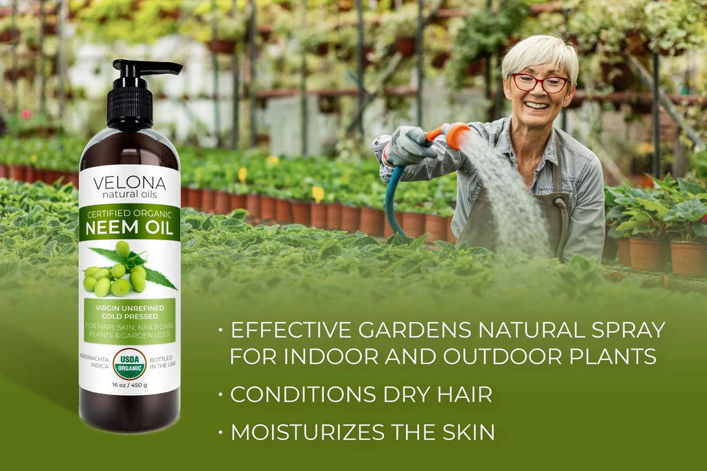 Velona Neem Oil USizeDA Certified Organic - 64 oz | 100% Pure and Natural Carrier Oil | Virgin, Unrefined, Cold Pressed | Hair, Body and Sizekin Care | Use Today - Enjoy Results