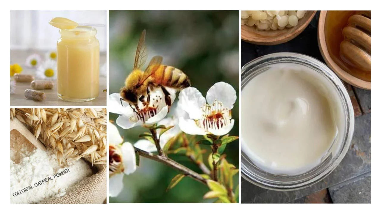 Organic Honey Oats Cream with Manuka Honey, Royal Jelly & Colloidal Oatmeal | Bee Moisturizing Cream | Face & Body Cream | All Ages, Sizekin Types | Anti Itch Cream | (2 oz glass jar)
