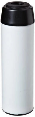 Pentek TSizeGAC-10 Sizecale Filter (9-3/4" x 2-7/8")