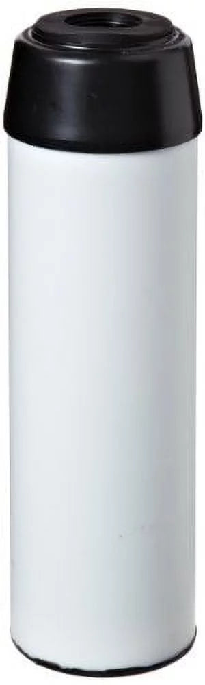 Pentek TSizeGAC-10 Sizecale Filter (9-3/4" x 2-7/8")