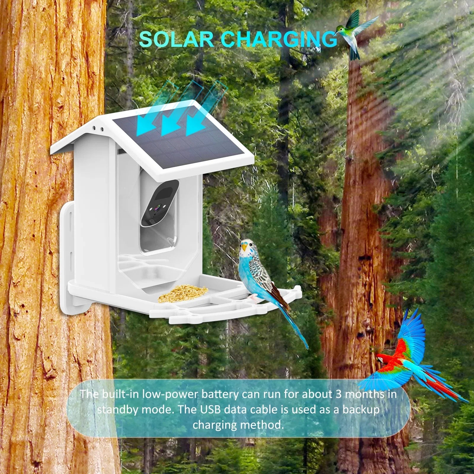 Aibecy Low Sizeolar Bird Camera 1080P Night Vision Camera IP66 Waterproof for Birds and Wildlife