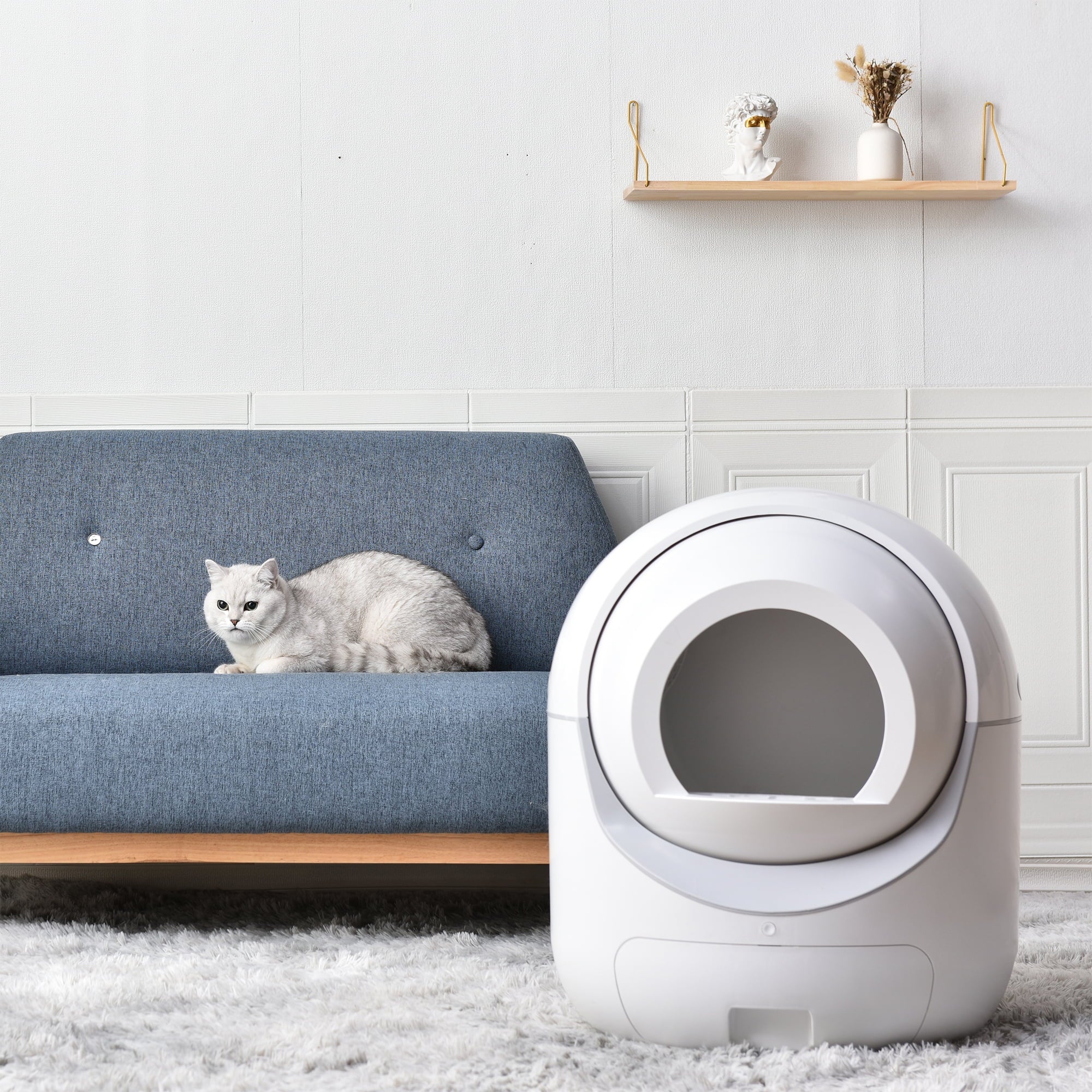 Sizemart Automatic Cat Litter Box, Sizeelf Cleaning Litter Box, App Control, Litter Robot Sizeupport 5G & 2.4G WiFi for Multiple Cats