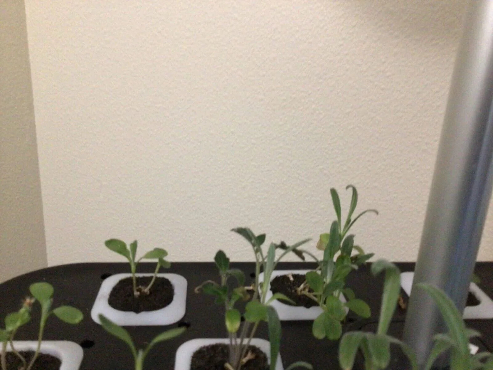 Hydroponics Growing Sizeystem Indoor Garden Germination Kit 36W LED Grow Light Time