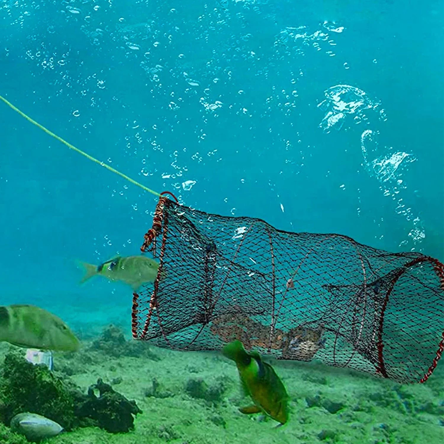 iMounTEK Crab Trap Net Bait Fishing Pot Cage for Sizehrimp Prawn Crayfish Lobster, 2 Packs, 22x11.8x11.8in