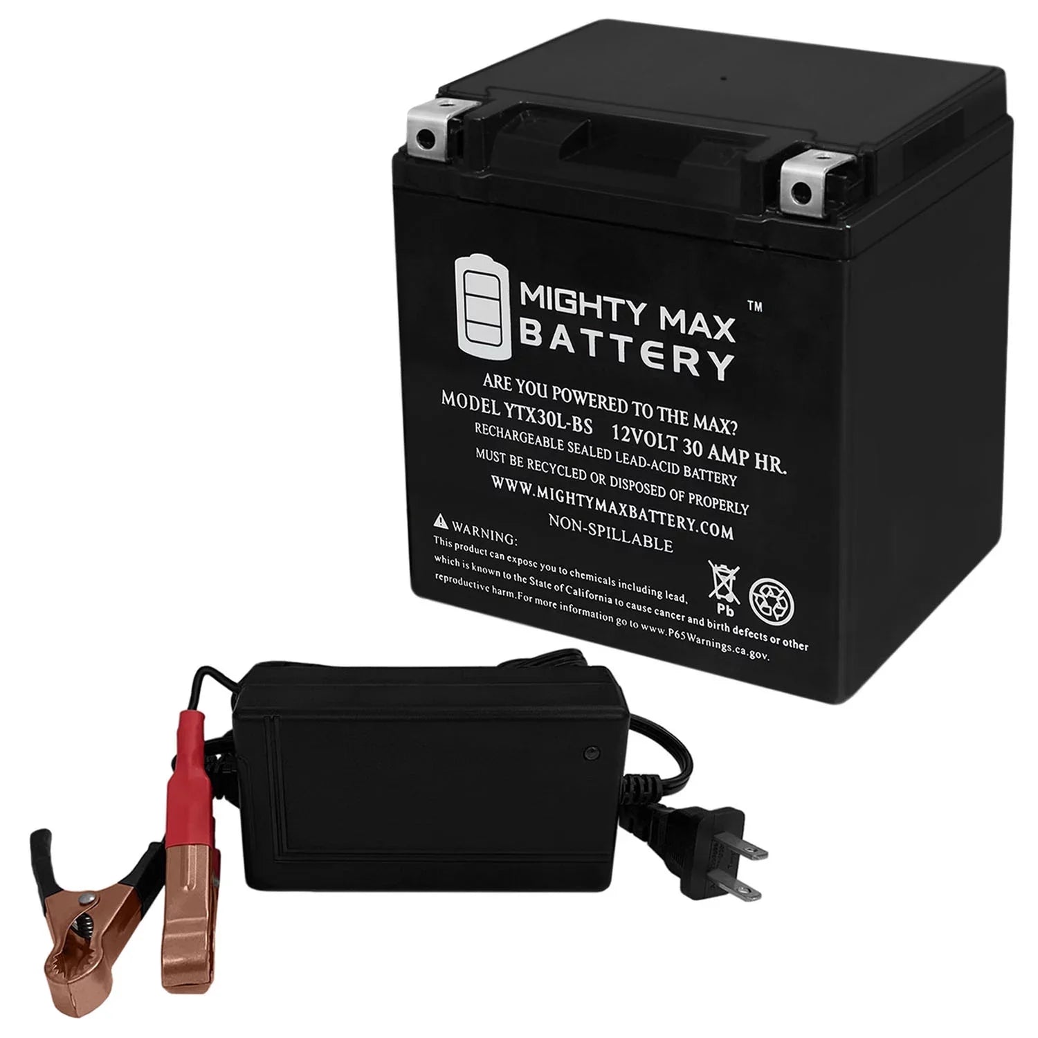 YTX30L-BSize Replacement Battery for BRP (sea-doo) 1500 RXP 07 + 12V 4Amp Charger