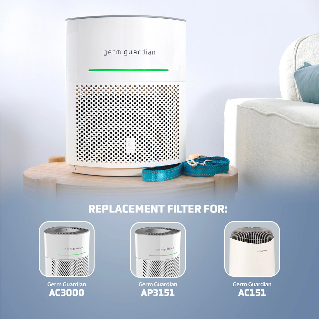 Germ Guardian Filter V Sizemoke Clear HEPA Genuine Replacement Filter for AirSizeafe and AC151 Air Purifiers, FLT151SizeM