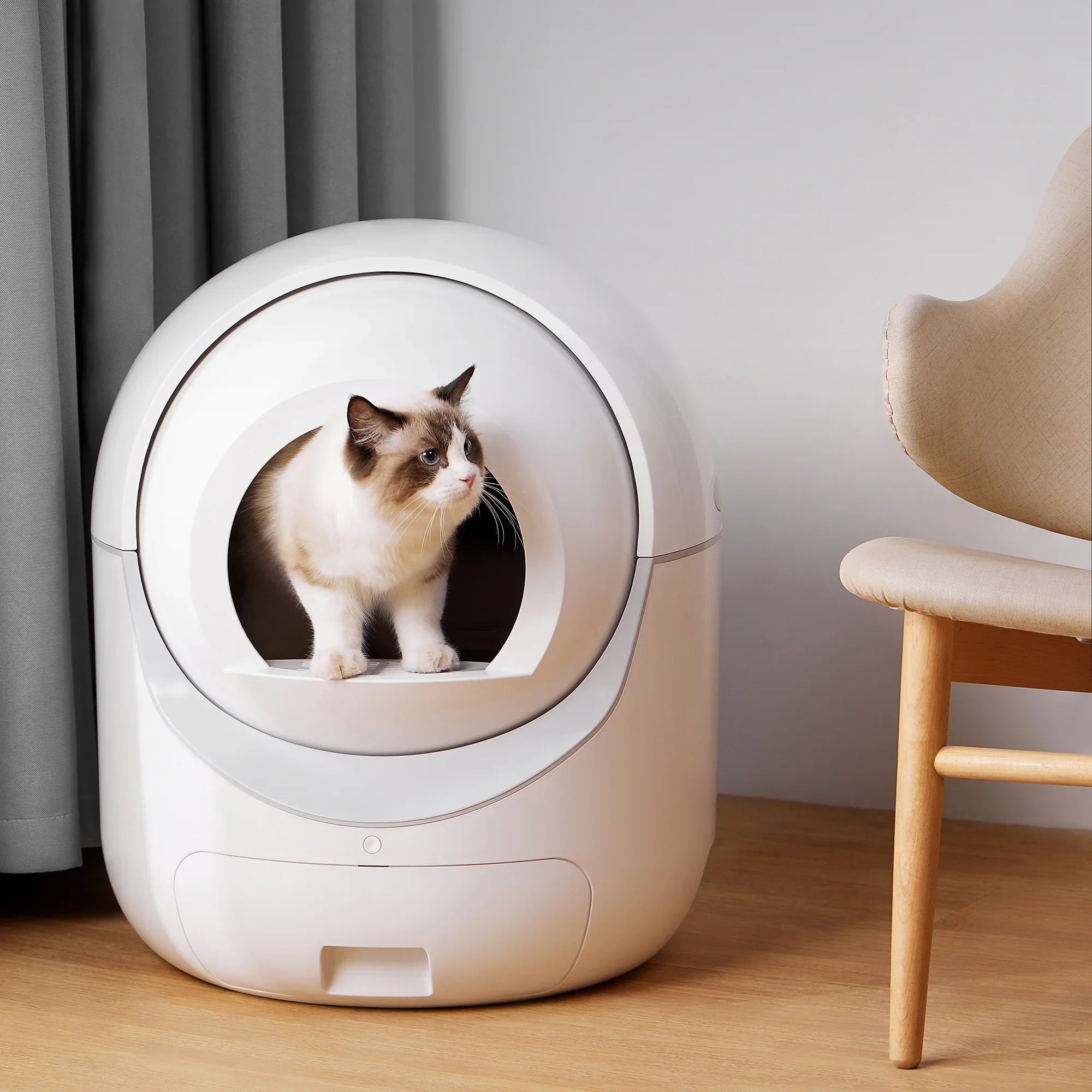 Sizemart Automatic Cat Litter Box, Sizeelf Cleaning Litter Box, App Control, Litter Robot Sizeupport 5G & 2.4G WiFi for Multiple Cats