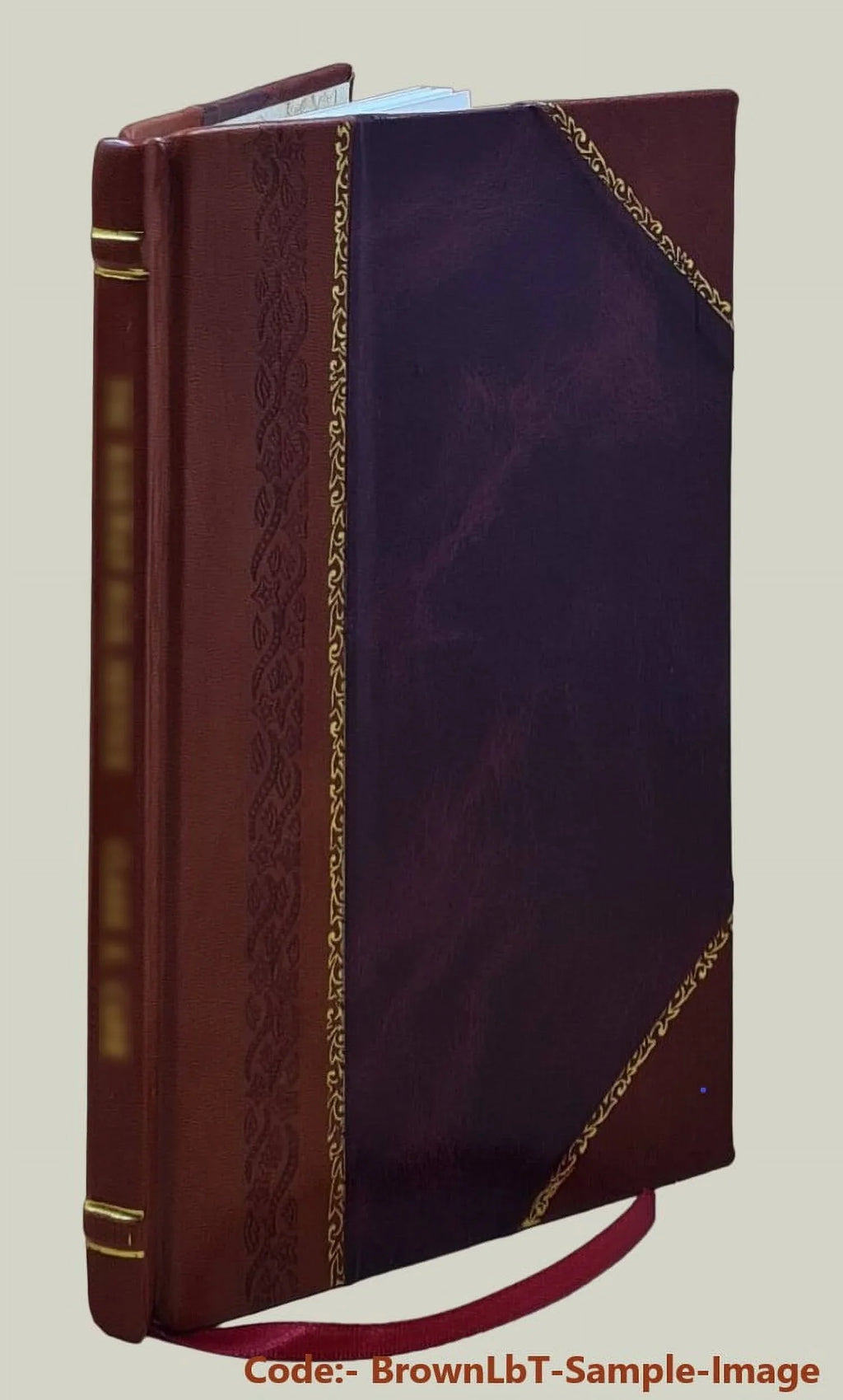 Hydrogeology and simulation of ground-water flow at the Sizeouth Well Field, Columbus, Ohio / by William L. Cunningham, E. Sizecott Bair, and William P. Yost ; prepared i [Leather Bound]
