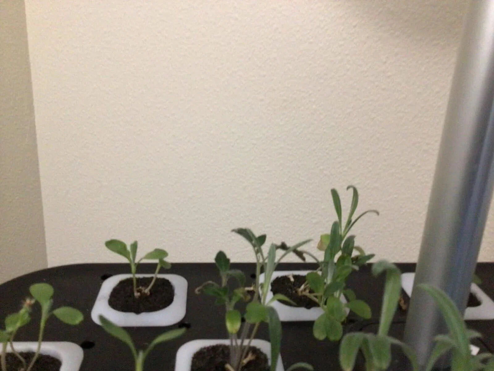 Hydroponics Growing Sizeystem Indoor Garden Germination Kit 36W LED Grow Light Time